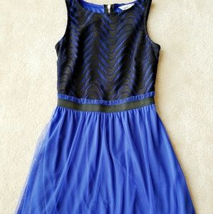 Black and Blue Dress